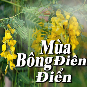 Cây Cầu Dừa