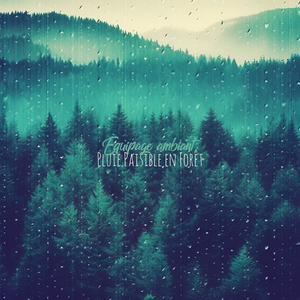 Pluie Fraîche en Forêt