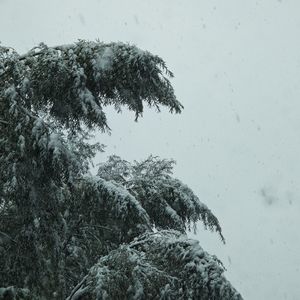 像我这样的人（cover毛不易）