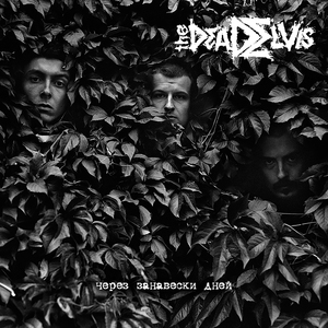 Через занавески дней