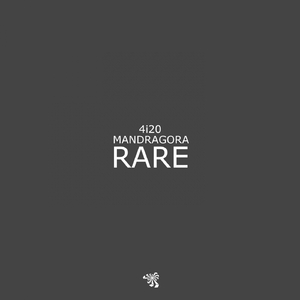 Rare (Original Mix)