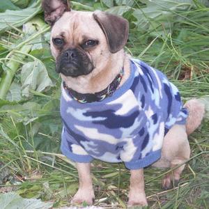 the way they treat you