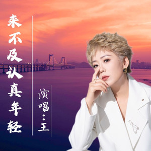 来不及认真年轻