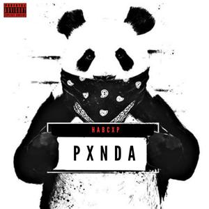 PXNDA