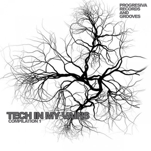 About Tech House (Original Mix)