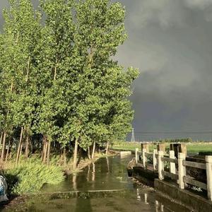 忘了（翻自 周林枫）