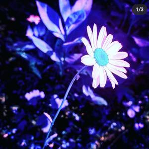 What I Need (feat. Headband Andy & Jazz)