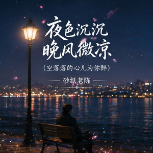 夜色沉沉晚风微凉(空落落的心儿为你醉)