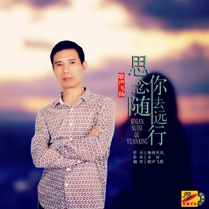 思念随你去远行（伴奏）