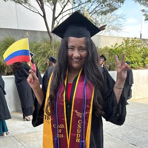 Lapondeorsallanera remix