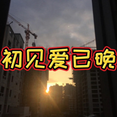 初见爱已晚 (拉卡版)