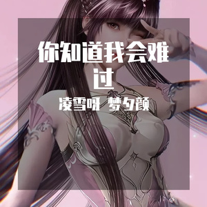 你知道我会难过