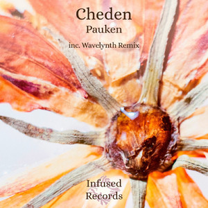 Pauken (Wavelynth Remix)