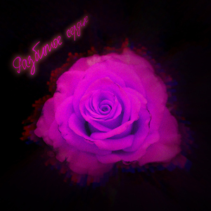 Разбитое сердце