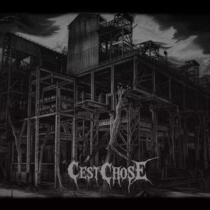 Outrecuidance parcimonieuse