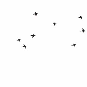 自由？(Prodby.Roccky)