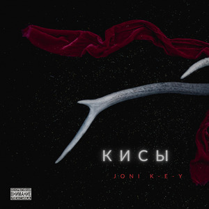 Кисы