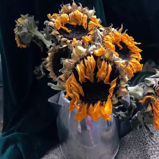 「华语拾荒」你与星月，皆可珍藏。