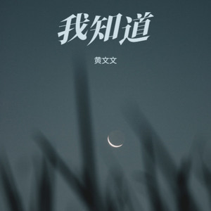 我知道 (我知道你还是爱着我)