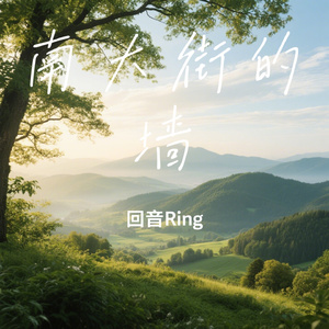 南大街的墙