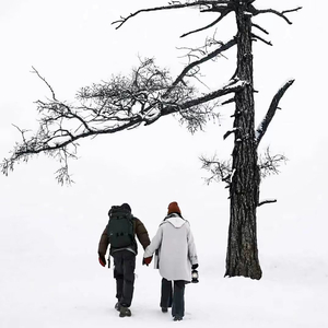 心碎的静音模式