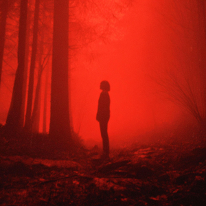 fragility (Dark Ambient)