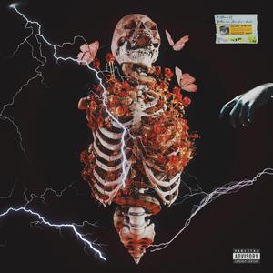 “ Mood” guitar Beat