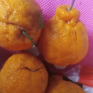 盘古数学之向量