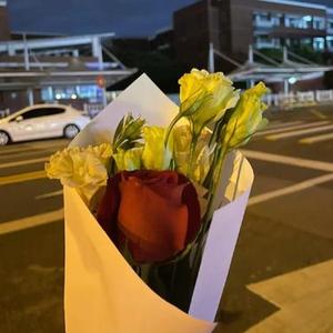 自落的花（DJ版）