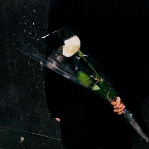 夜行（翻自 队长）