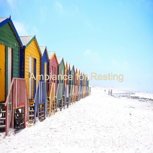 Paradise Like Soundscapes for Colombian Coffeehouses