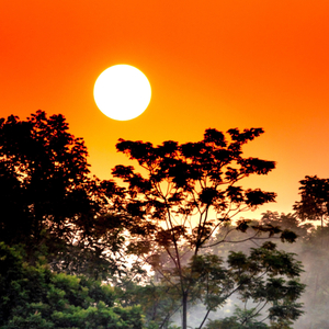 Flamingo (Relaxing Piano Music Version)