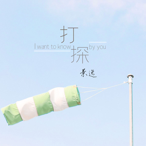 打探