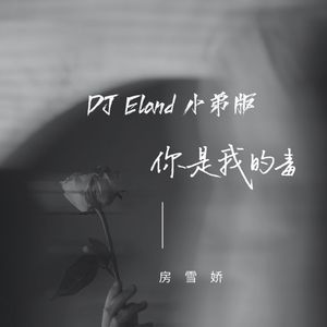 房雪娇 你是我的毒 (DJEland小弟版)