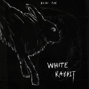 white rabbit