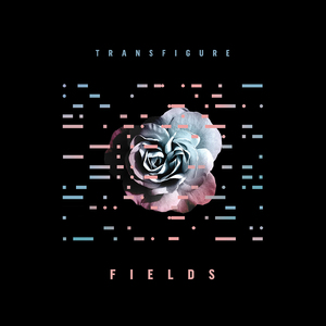 Fields (Radio Edit)