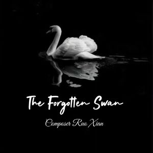 The Forgotten Swan（被遗忘的天鹅）
