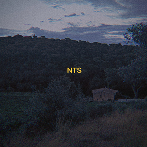 N T S