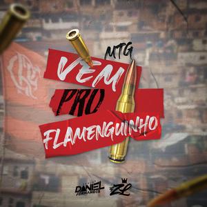 Vem Pro Flamenguinho / Quer Fuder Com os Sem Amor (feat. DJ ZL)