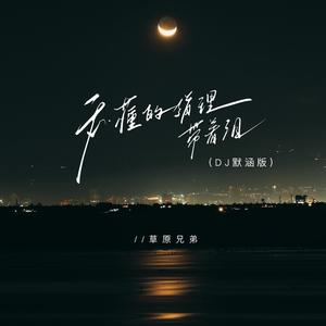 我懂的道理带着泪 (DJ默涵版伴奏)