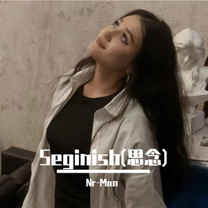 Seginish(思念)
