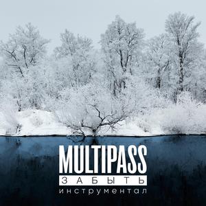 Зимовать (инструментал)