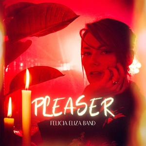 Pleaser