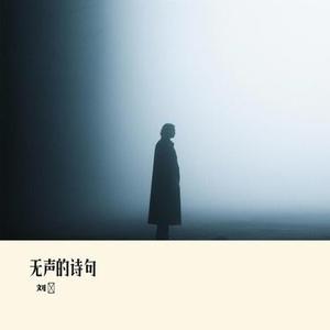 无声的诗句