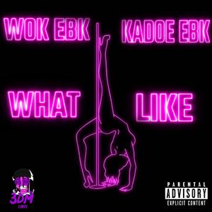 What I Like (feat. Wok Ebk)