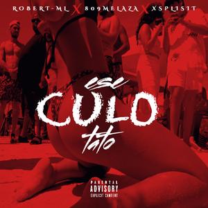ESE CULO TATO (feat. 809melaza & Xplist)