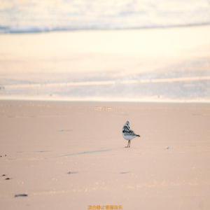 按摩悦耳的爵士