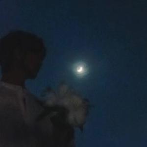 西厢寻他（DJ桃之助Remix）