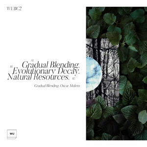 Gradual Blending (Original mix)