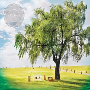 어디에 (在哪里)